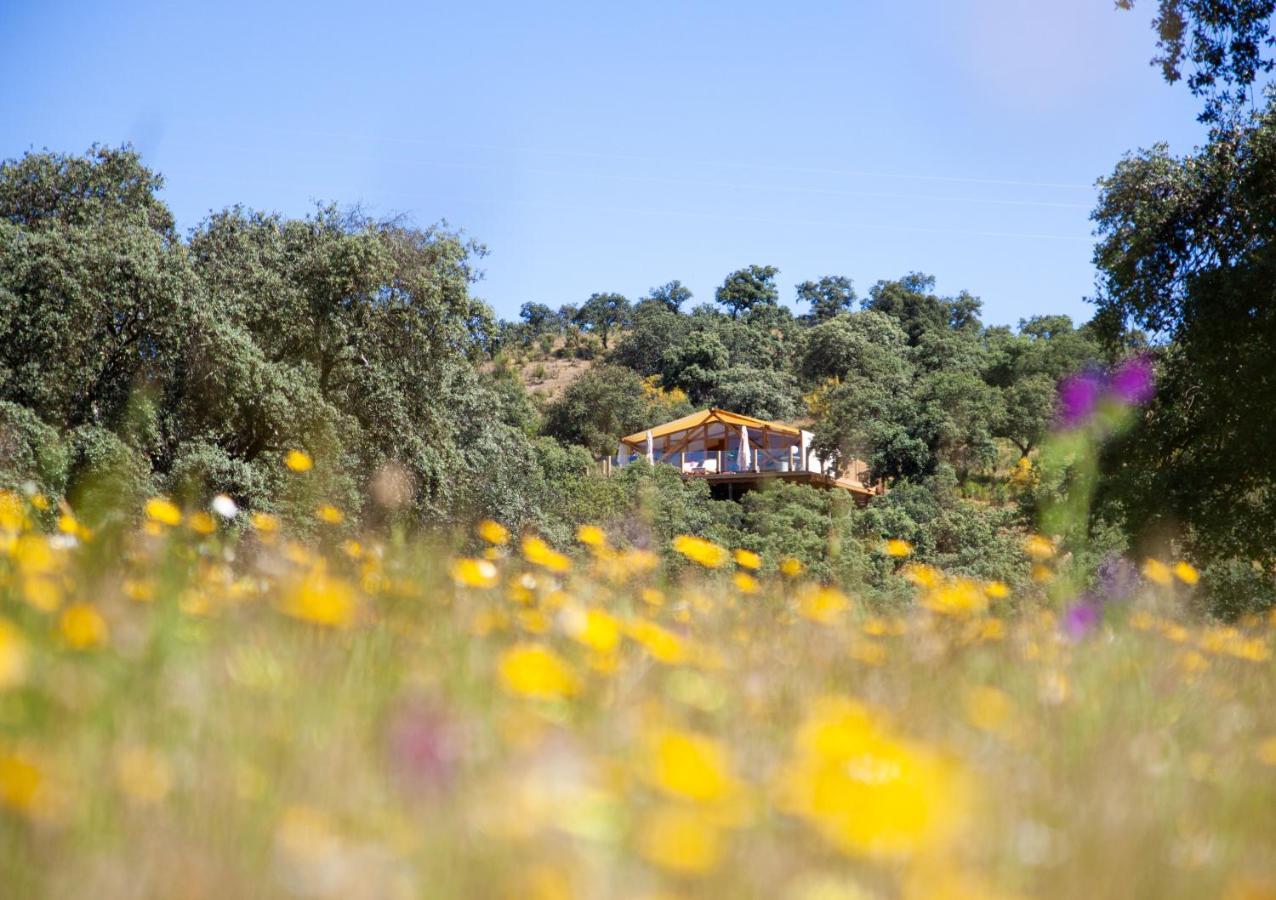 Hotel La Dehesa Experiences Adamuz Zewnętrze zdjęcie