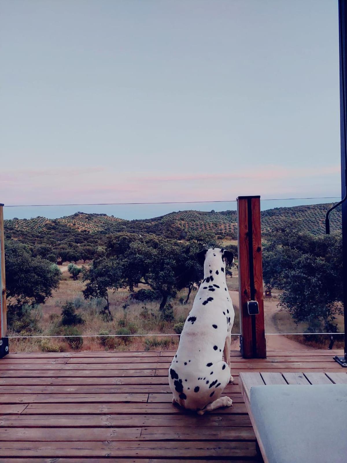 Hotel La Dehesa Experiences Adamuz Zewnętrze zdjęcie